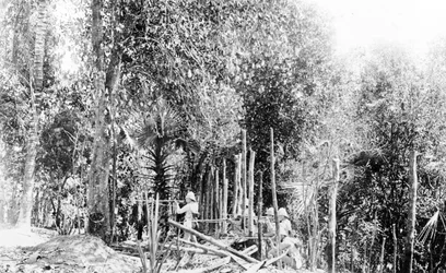 ビルマのジャングルで戦うイギリス軍、1891年